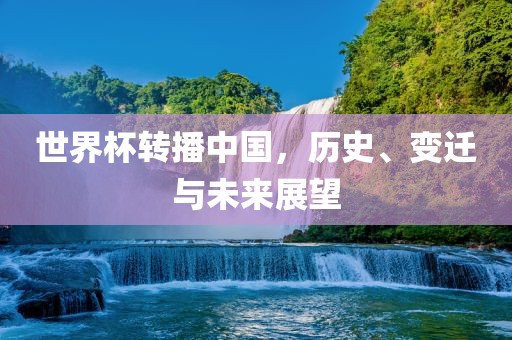 世界杯转播中国，历史、变迁与未来展望