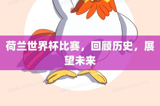 荷兰世界杯比赛，回顾历史，展望未来