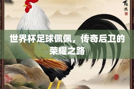 世界杯足球佩佩，传奇后卫的荣耀之路