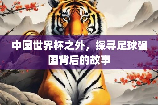 中国世界杯之外，探寻足球强国背后的故事
