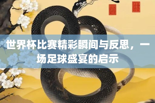 世界杯比赛精彩瞬间与反思，一场足球盛宴的启示