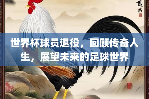 世界杯球员退役，回顾传奇人生，展望未来的足球世界