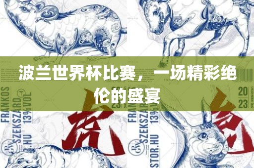波兰世界杯比赛，一场精彩绝伦的盛宴