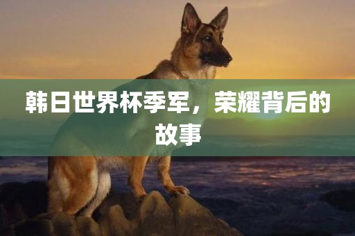 韩日世界杯季军，荣耀背后的故事