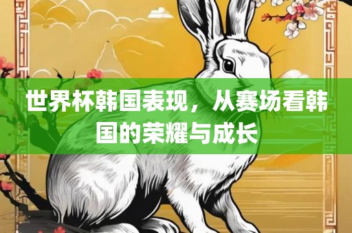 世界杯韩国表现，从赛场看韩国的荣耀与成长