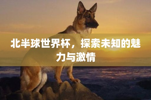 北半球世界杯，探索未知的魅力与激情