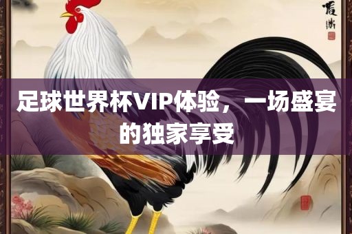 足球世界杯VIP体验，一场盛宴的独家享受