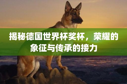 揭秘德国世界杯奖杯，荣耀的象征与传承的接力