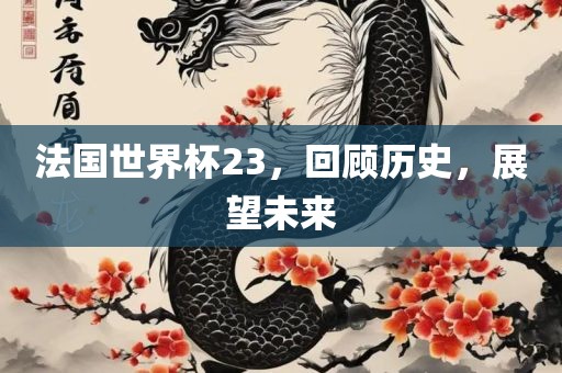 法国世界杯23，回顾历史，展望未来