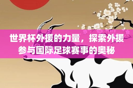 世界杯外援的力量，探索外援参与国际足球赛事的奥秘