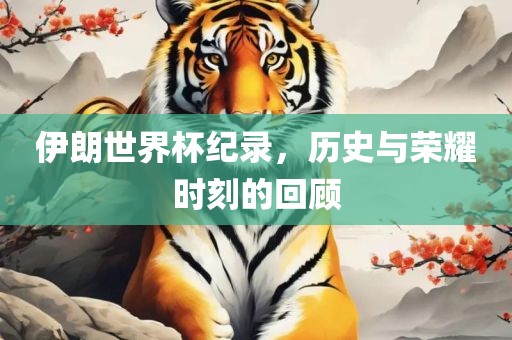 伊朗世界杯纪录，历史与荣耀时刻的回顾