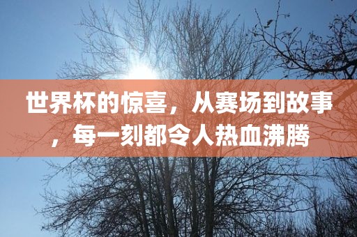 世界杯的惊喜，从赛场到故事，每一刻都令人热血沸腾