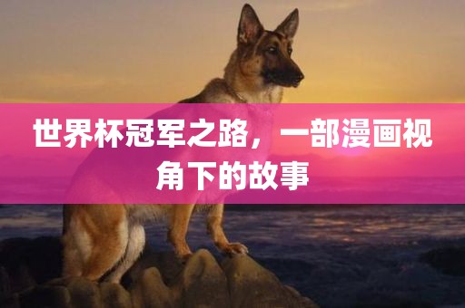 世界杯冠军之路，一部漫画视角下的故事