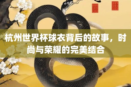 杭州世界杯球衣背后的故事，时尚与荣耀的完美结合