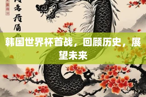 韩国世界杯首战，回顾历史，展望未来