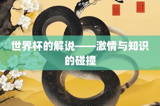 世界杯的解说——激情与知识的碰撞