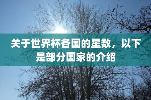 关于世界杯各国的星数，以下是部分国家的介绍
