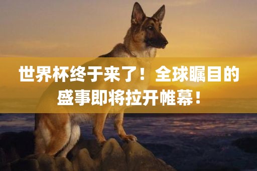 世界杯终于来了！全球瞩目的盛事即将拉开帷幕！