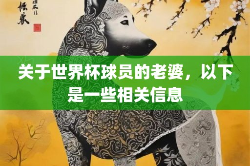 关于世界杯球员的老婆，以下是一些相关信息
