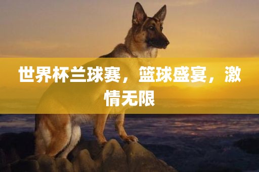 世界杯兰球赛，篮球盛宴，激情无限