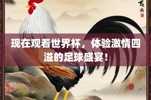 现在观看世界杯，体验激情四溢的足球盛宴！