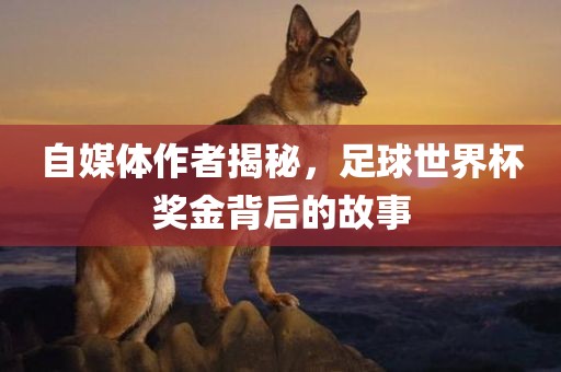 自媒体作者揭秘，足球世界杯奖金背后的故事