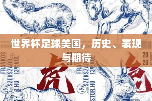 世界杯足球美国，历史、表现与期待
