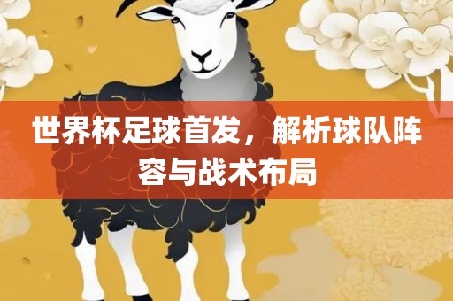 世界杯足球首发，解析球队阵容与战术布局