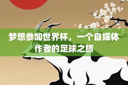 梦想参加世界杯，一个自媒体作者的足球之旅