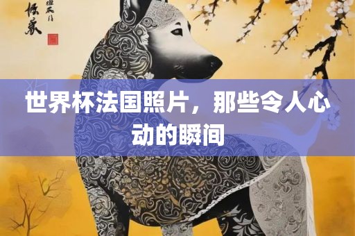 世界杯法国照片，那些令人心动的瞬间