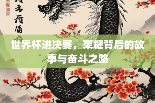 世界杯进决赛，荣耀背后的故事与奋斗之路