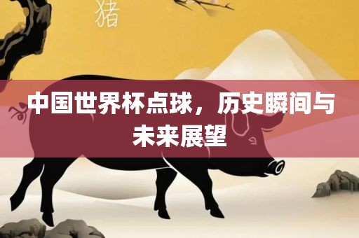中国世界杯点球，历史瞬间与未来展望