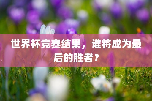 世界杯竞赛结果，谁将成为最后的胜者？