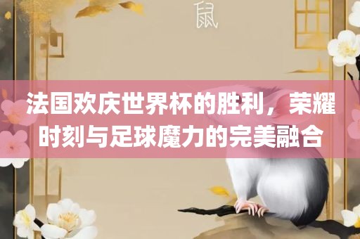 法国欢庆世界杯的胜利，荣耀时刻与足球魔力的完美融合