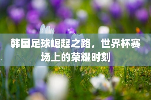 韩国足球崛起之路，世界杯赛场上的荣耀时刻