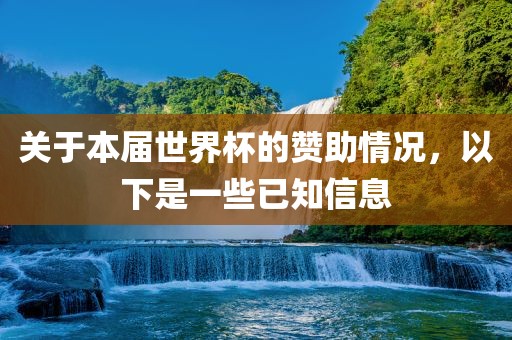 关于本届世界杯的赞助情况，以下是一些已知信息