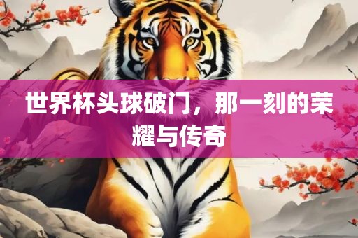 世界杯头球破门，那一刻的荣耀与传奇