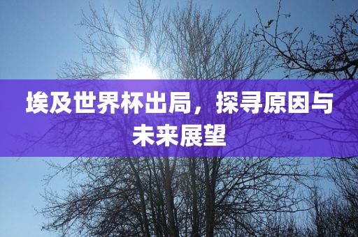 埃及世界杯出局，探寻原因与未来展望