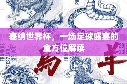 塞纳世界杯，一场足球盛宴的全方位解读