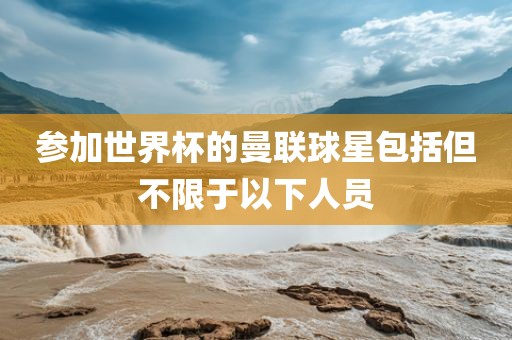 参加世界杯的曼联球星包括但不限于以下人员