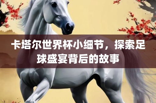 卡塔尔世界杯小细节，探索足球盛宴背后的故事