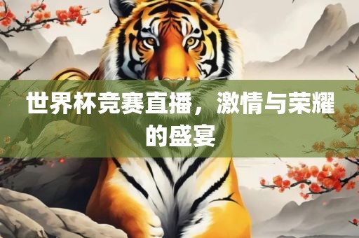 世界杯竞赛直播，激情与荣耀的盛宴