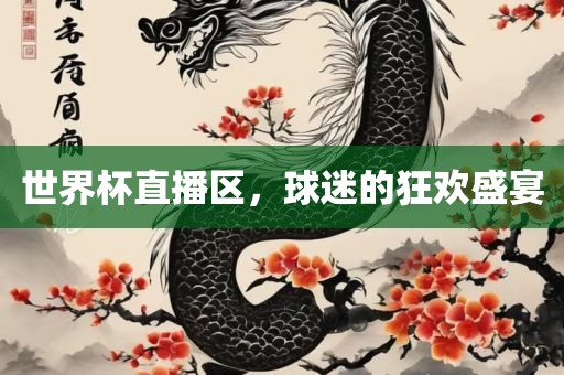 世界杯直播区，球迷的狂欢盛宴