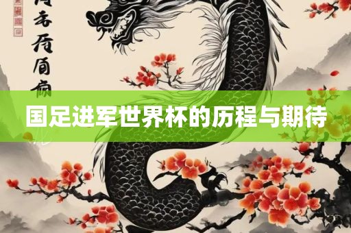 国足进军世界杯的历程与期待