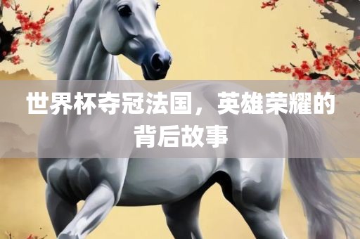 世界杯夺冠法国，英雄荣耀的背后故事