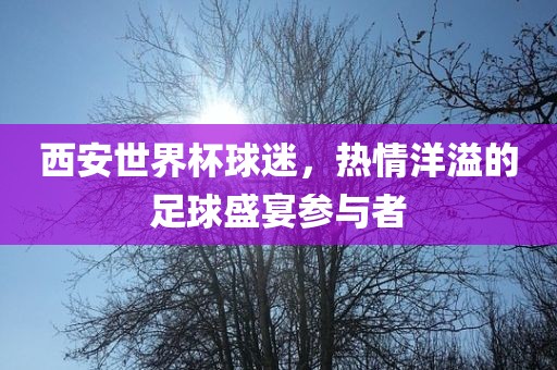西安世界杯球迷，热情洋溢的足球盛宴参与者