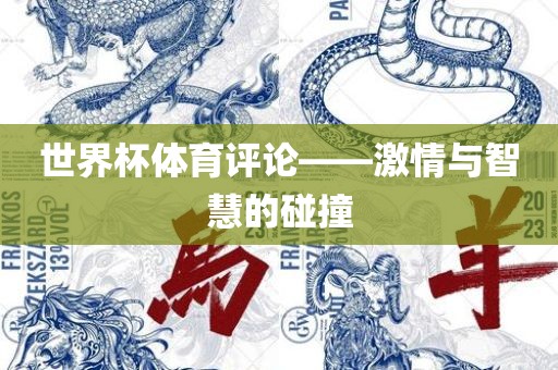 世界杯体育评论——激情与智慧的碰撞