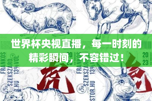 世界杯央视直播，每一时刻的精彩瞬间，不容错过！