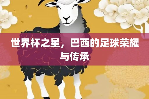 世界杯之星，巴西的足球荣耀与传承