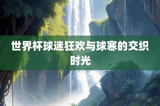 世界杯球迷狂欢与球寒的交织时光